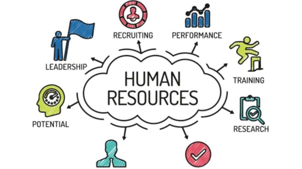 Human Resource Management Tools And Techniques